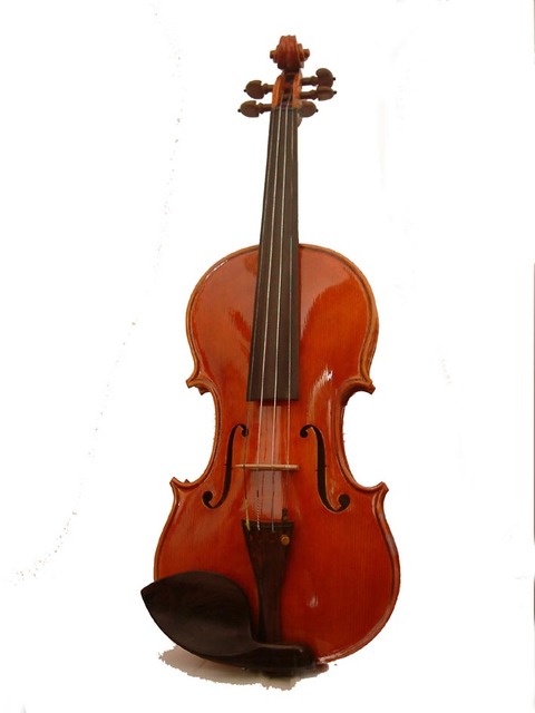 Violino