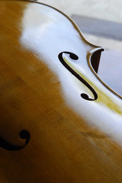 Violoncello