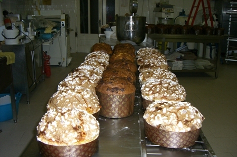 Panettoni