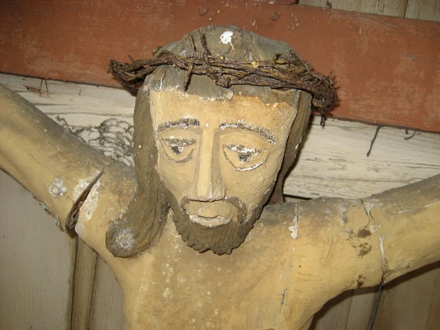Img 1546