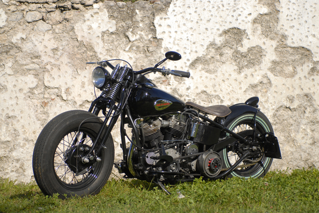 Loris hd 013