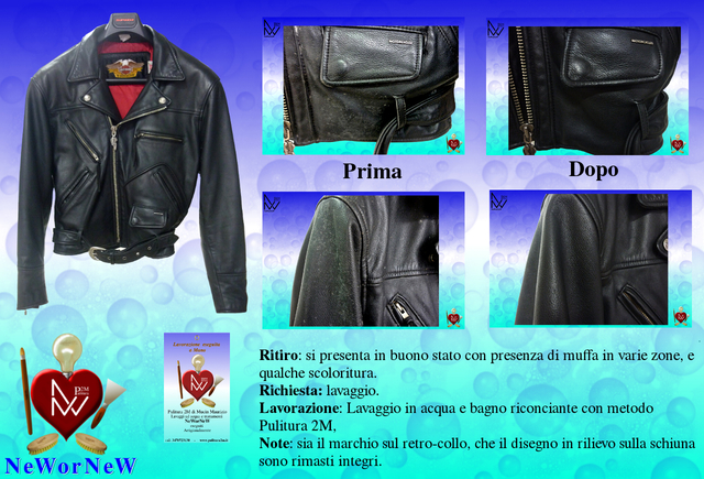 Fullscreen tuta harley davidson 2