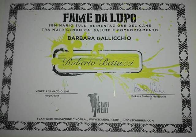 Fb img 1536445594746