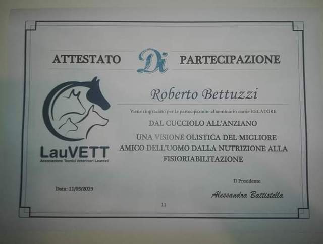 Corso lauvett relatore