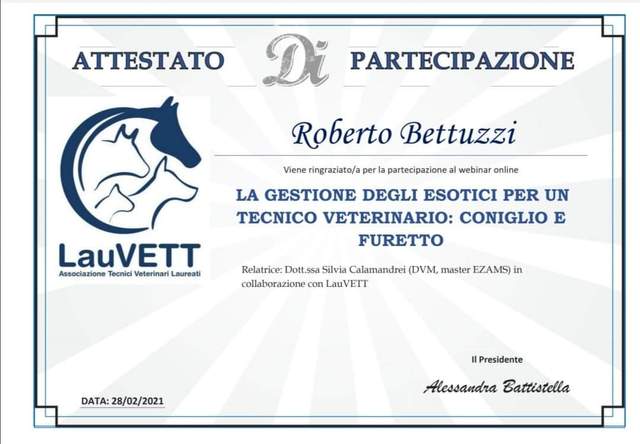 Coniglio e furetto
