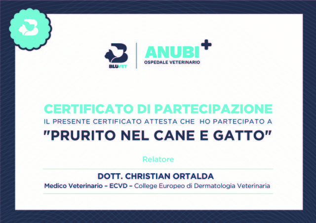 Certificato di partecipazione prurito cane