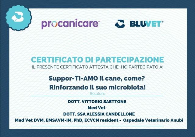 Attestato bluvet 5 maggio 2022