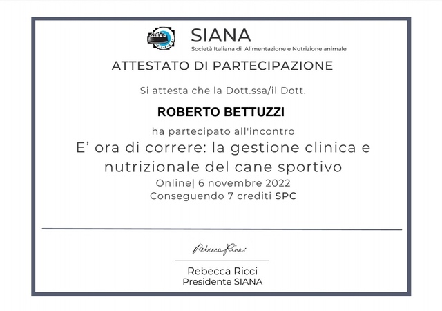 Siana 6 novembre 2022