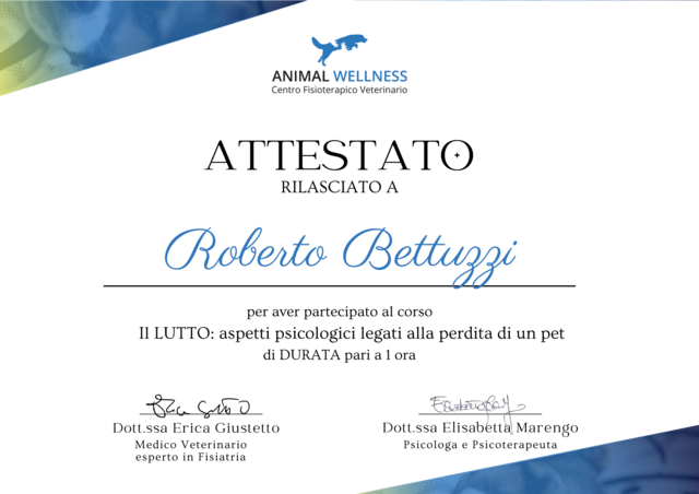 Bettuzzi