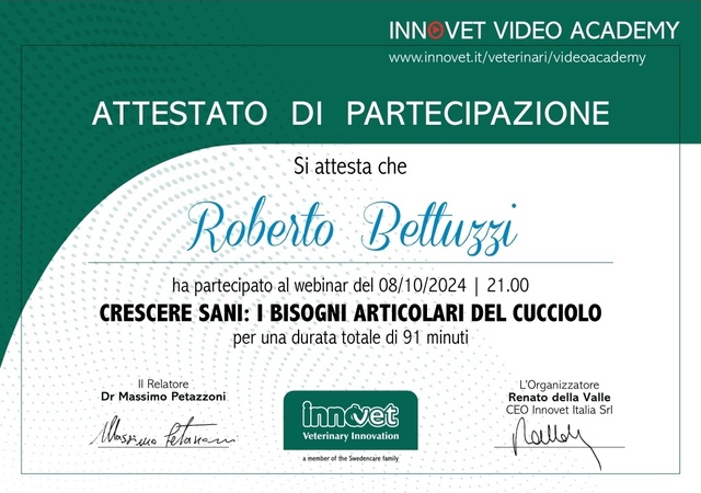 Innovet ortopedia