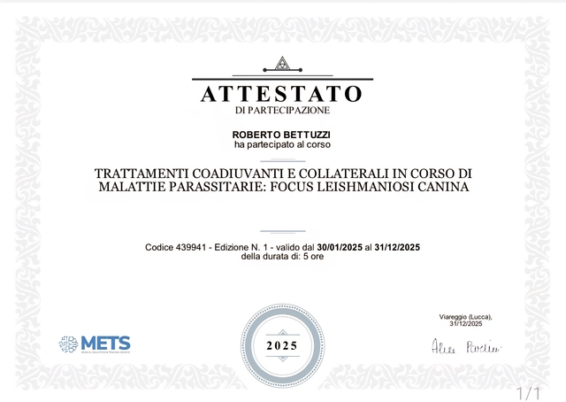 Attestato di partecipazione mets