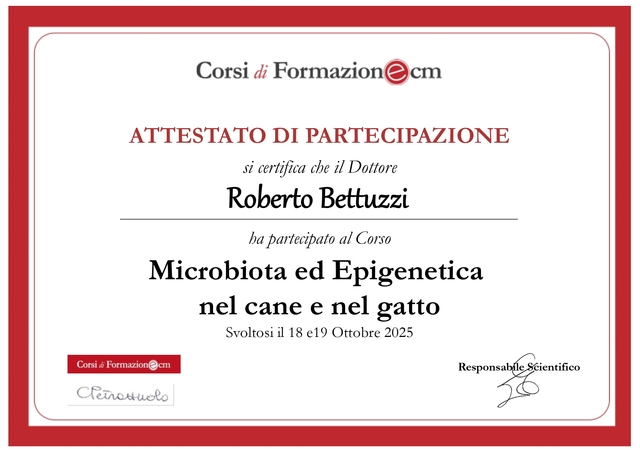 Attestato di partecipazione roberto bettuzzi