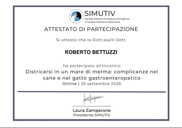 Webinar siana simutiv