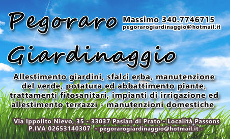 Biglvisitafronte